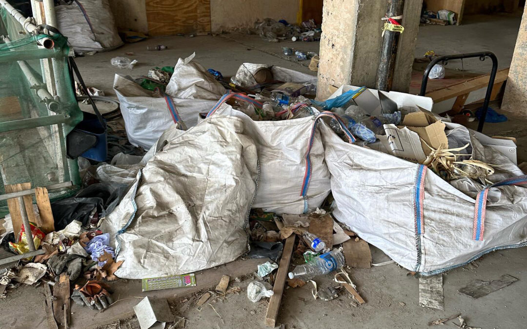 The Hidden Costs of DIY Waste Removal (and Why Hiring Experts Pays Off)