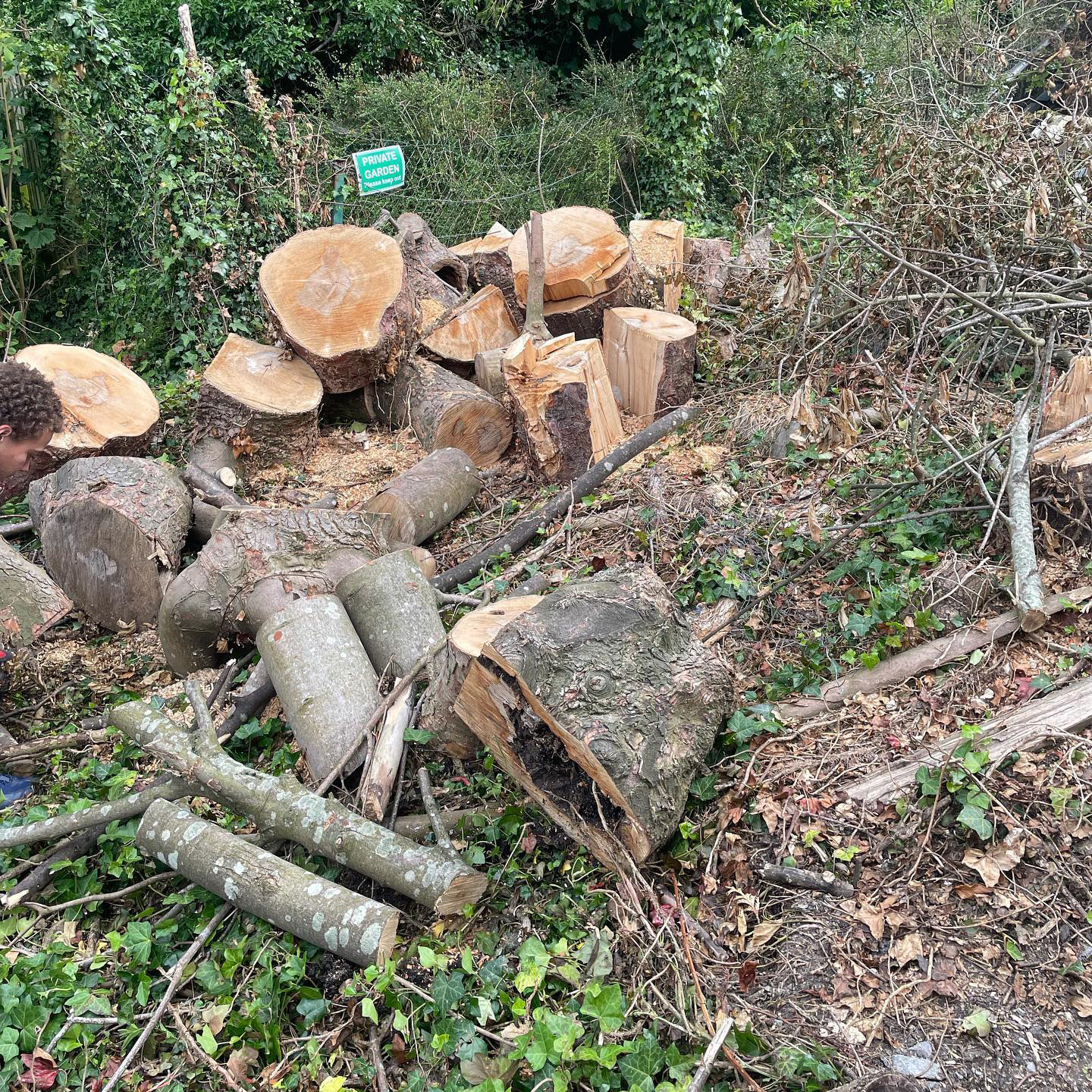 garden clearance before